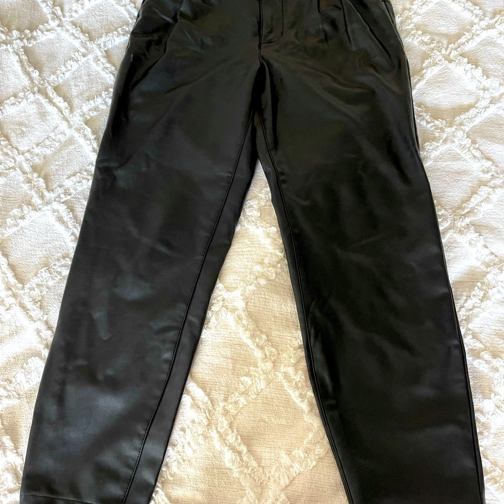 Abercrombie Faux Leather Pleated Pants